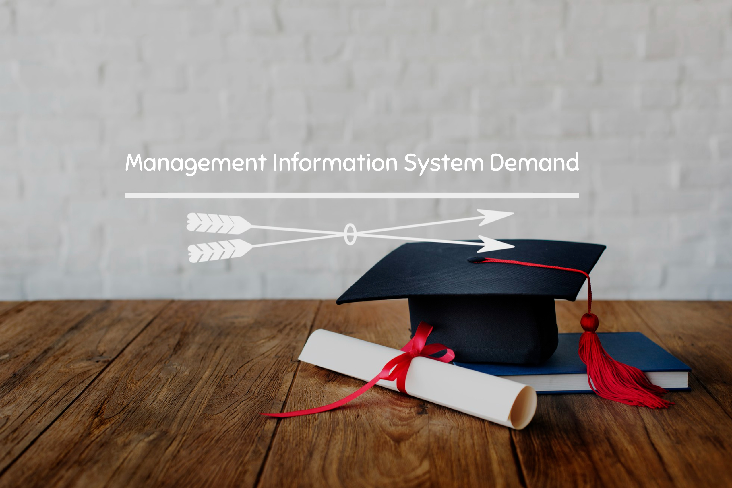 Management Information Systems (MIS) Demand