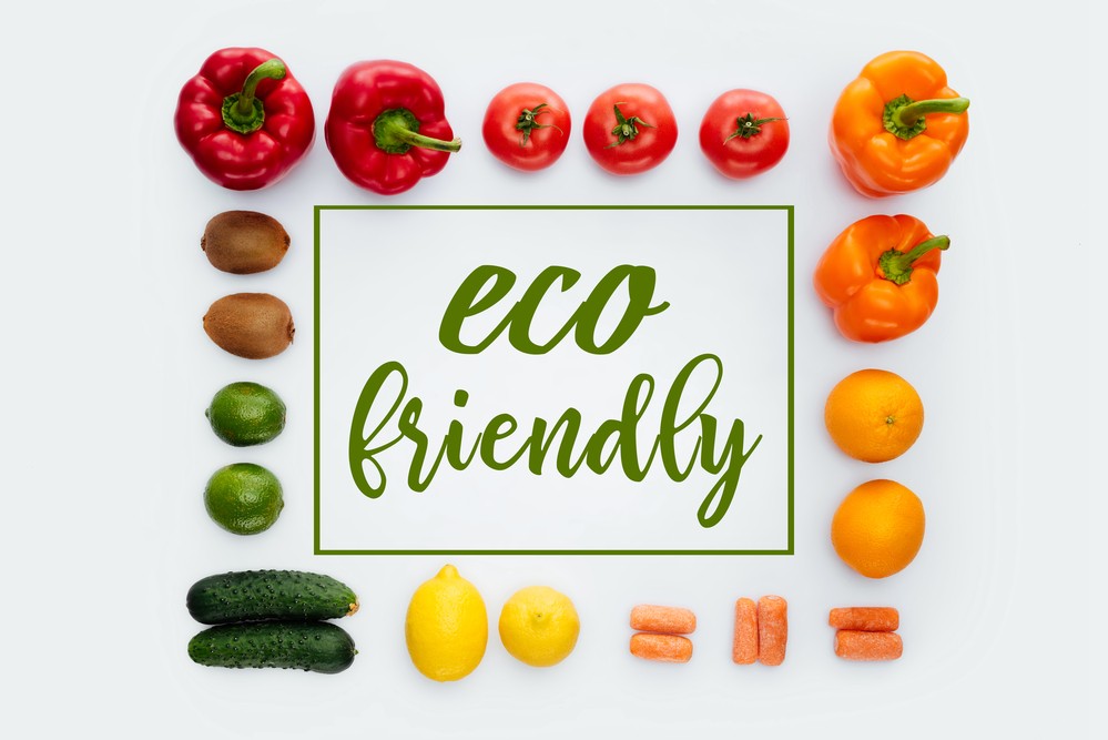 The Top 10 Best Eco-Friendly Products to Sell Right Now