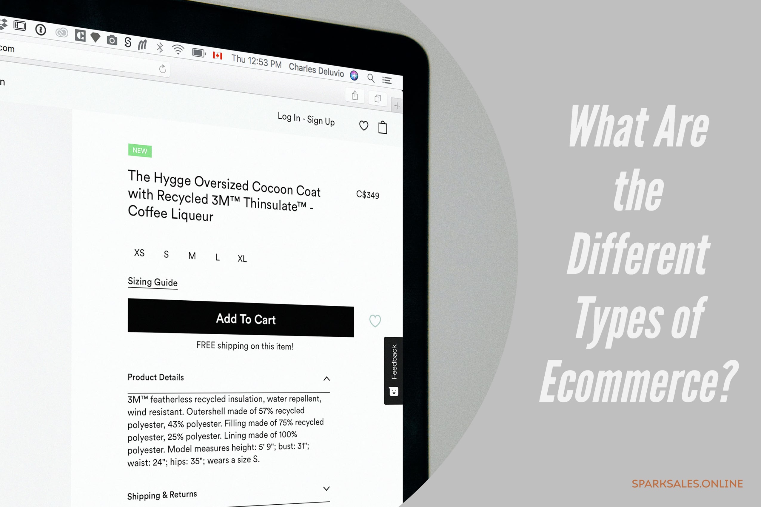 What are the different types of ecommerce?