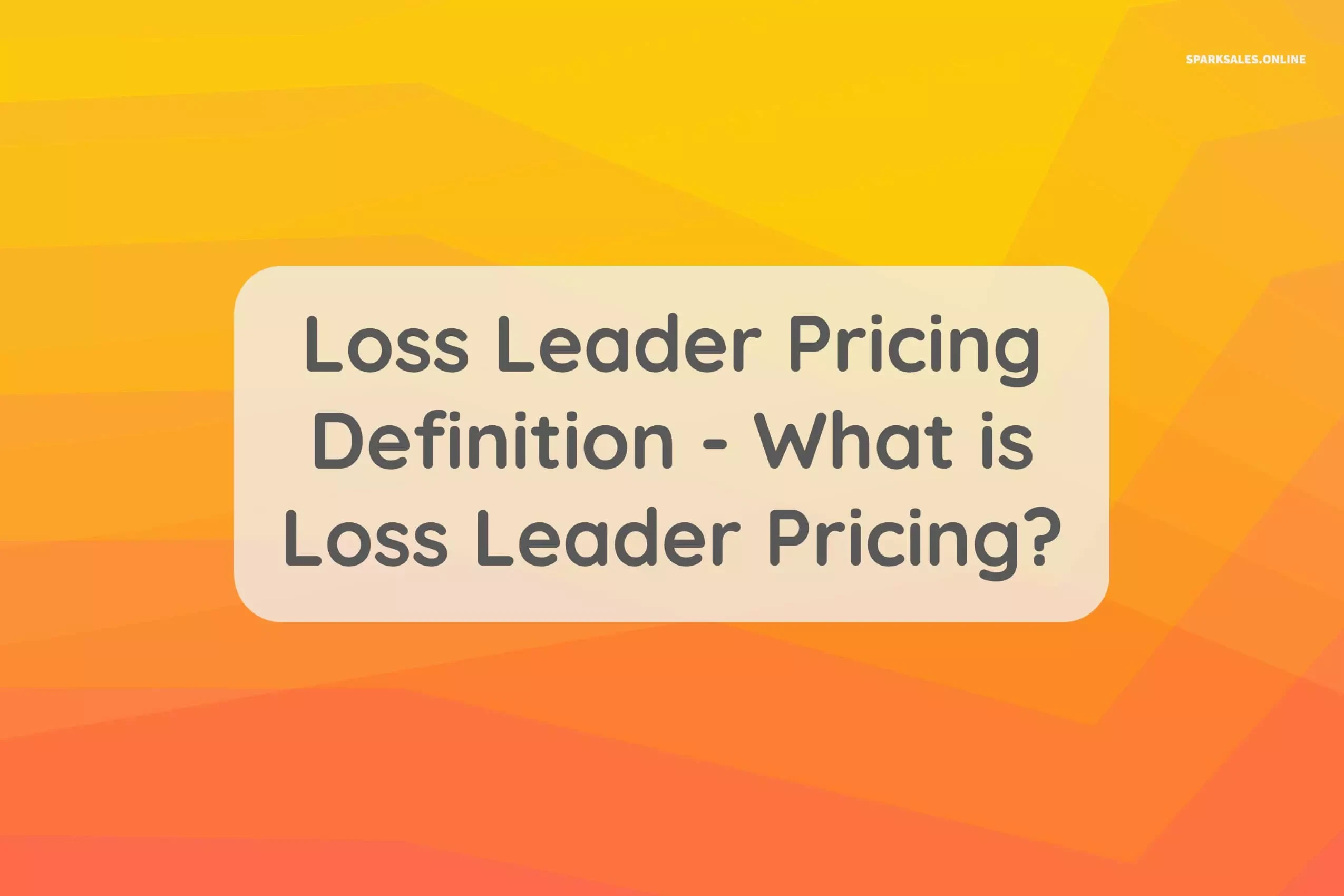 Loss Leader Pricing Definition - What is Loss Leader Pricing